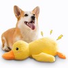 Easter Calming Duck Gift for Dogs, Large Calming Duck Toy