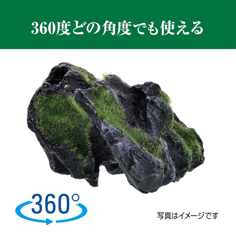 Healing Water Scenery Moss Rock Hide