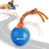 Potaroma Potaroma Interactive Dog Ball Toys Touch Activated, Rechargeable Animal