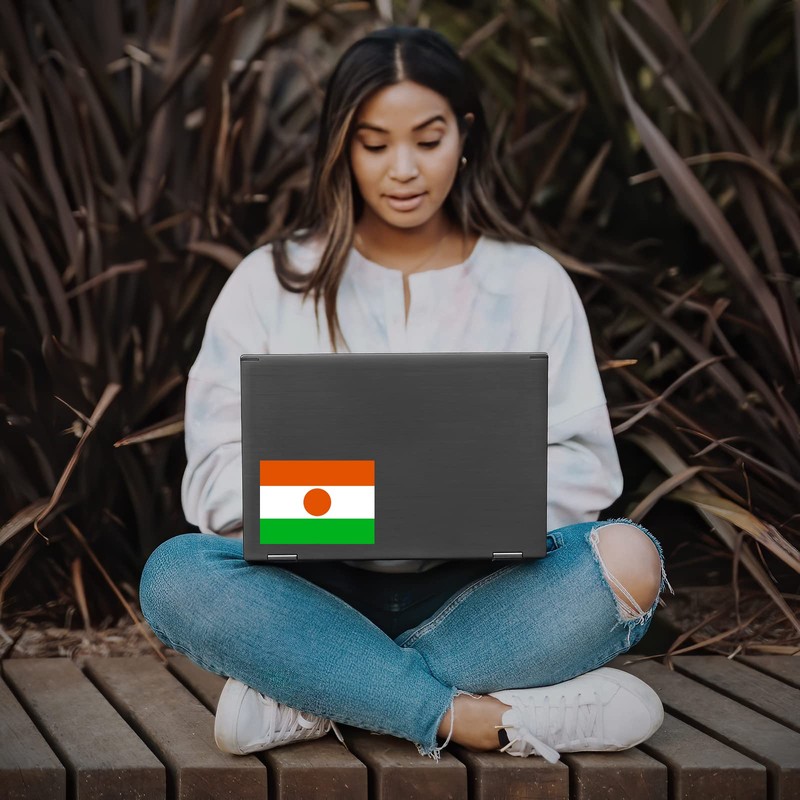 Flag of Niger Sticker Decal Notebook Car Laptop 5.5"x4" (Color)