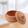 Pvczool Round Box in Rattan, Fruit Basket in Wicker with