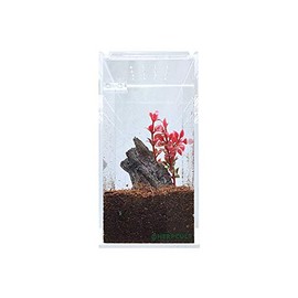 Herpcult Magnetic Acrylic Mini-Tall Enclosure 3 x 3 x 6