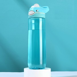 SHELFLOVER Sky Water Bottle No Straw, BPA FREE TRITAN, Lock Button Has Handle Clear Bottles, Wide Mouth Easy Clean for Women Office Travel Yoga, 24oz (750ml)