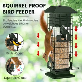 Squirrel Proof Bird Feeder for Outdoors Hanging, Metal Mesh Wild Bird Feeders with 4 Weight-Activated Perches, 3LB Large Capacity Squirrel Proof Bird Feeders for Outside Finch, Cardinal, Bluebird