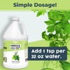 Herb Plant Food for All Edible Herbs, Leafy Greens and