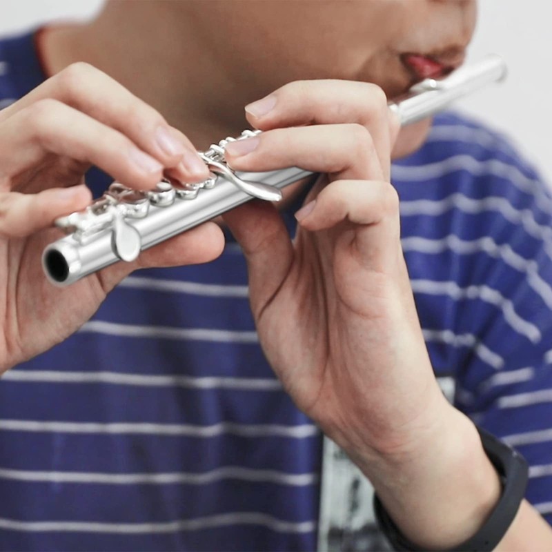 Eastar Beginner Piccolo Flute, Key of C, Silver Plated, with