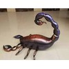 50 Inch Scorpion Foil Balloons Large Vivid 3D Balloons Party