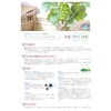 Kishima KH-61022 Fake Green, Cactus, Serged Planting, Glass, Eclea, Deodorizing,