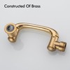 BAGNOLUX Brass 1080° Swivel Faucet Extender for Bathroom Sink, 2