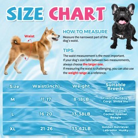 PEYFJIU Disposable Dog Diapers, Super Absorbent Male Dog Wraps with Wetness Indicator, Leak Proof Puppy Diapers for Excitable Urination, Incontinence & Potty Training, M, 48 Count