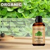 Wuvezrub Oregano Essential Oils, 30ML 100% Pure and Natural Essential