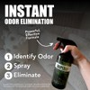 Chronic Wipeout Smoke Smell Eliminator for Home, Cars, Hands, Hair,