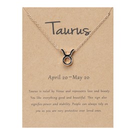 Gold Zodiac Necklace for Women Zodiac Sign Pendant Necklace 12 Constellation Necklace for Women Men