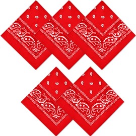 Fjquamitix 5-Piece Bandana Set, Bandanas for Women & Men - Cashew Flower, Solid Paisley Print Headband Polyester Quick-Dry Bandana Headband, Scarf, Face Covering (Paisley, Red*5)