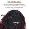 BEAUTY ON LINE Drawstring Ponytail - Long Curly Ponytail Extensions