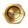 Brass Foot Valve, 2 inch NPT Spring Mesh Check Valve