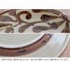 sh-017-01 Tableware East Japanese Tableware Bowl, Large, 7.1 inches (18