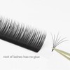 SuperEyedol Camellia 0.07mm Eyelash Extensions Professional Supplies J,B,C,CC,D,DD Curl 8-15mm