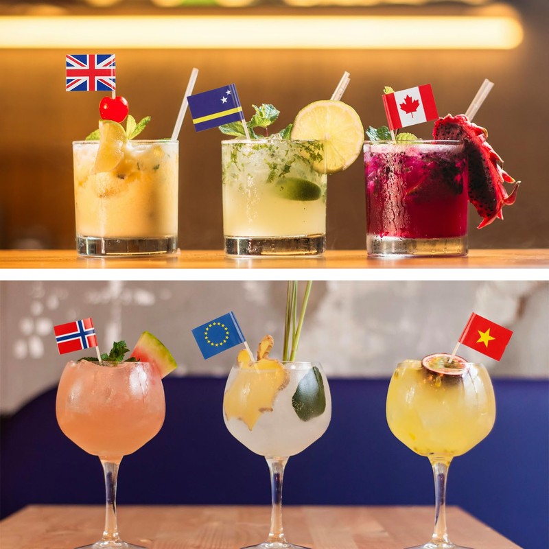 Tabanzhe Different Nations Toothpick Flag-100PCS Country Cocktail Stick Flag Food