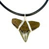 JJ Maybank Shark Necklace - Necklace Length: 16 Inches