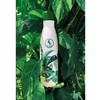 Blue Bananas 500 ml Stainless Steel Drinking Bottle - Stylish