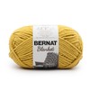 Bernat Blanket 300g - Moss
