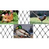 Aviary Netting Heavy Knotted 2 inch Poultry Net (25 ft