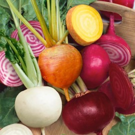 Southeast Seeds Rainbow Mix Beet Seeds, 4 Species, (Detroit Dark Red & Golden, Chioggia, White) - 625 Seeds or 1/2 OZ