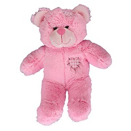 Record Your Own Plush 8 Inch Pink Patches Teddy Bear - Ready 2 Love in a Few Easy Steps