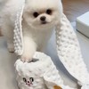 Restokki Dog Snuffle Nosework Toy - Toilet Paper Dog Toy