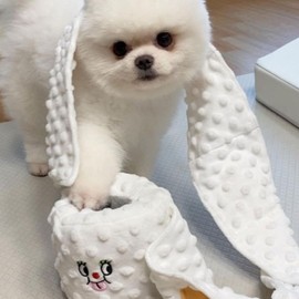 Restokki Dog Snuffle Nosework Toy - Toilet Paper Dog Toy Plushie Interactive Puzzle Toy - Treat Hide and Seek for Fun