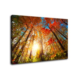 VVJSZHJ Forest Wall Art Hint of Sunset Trees Nature Pictures Red Leaf Landscape Canvas Artwork for Bedroom Office Wall Decor (Tree, 12x16 inch, Wrapped Canvas)