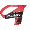 Julius-K9 16IDC-M-R-2015 IDC Color & Gray Belt Harness for Dogs,
