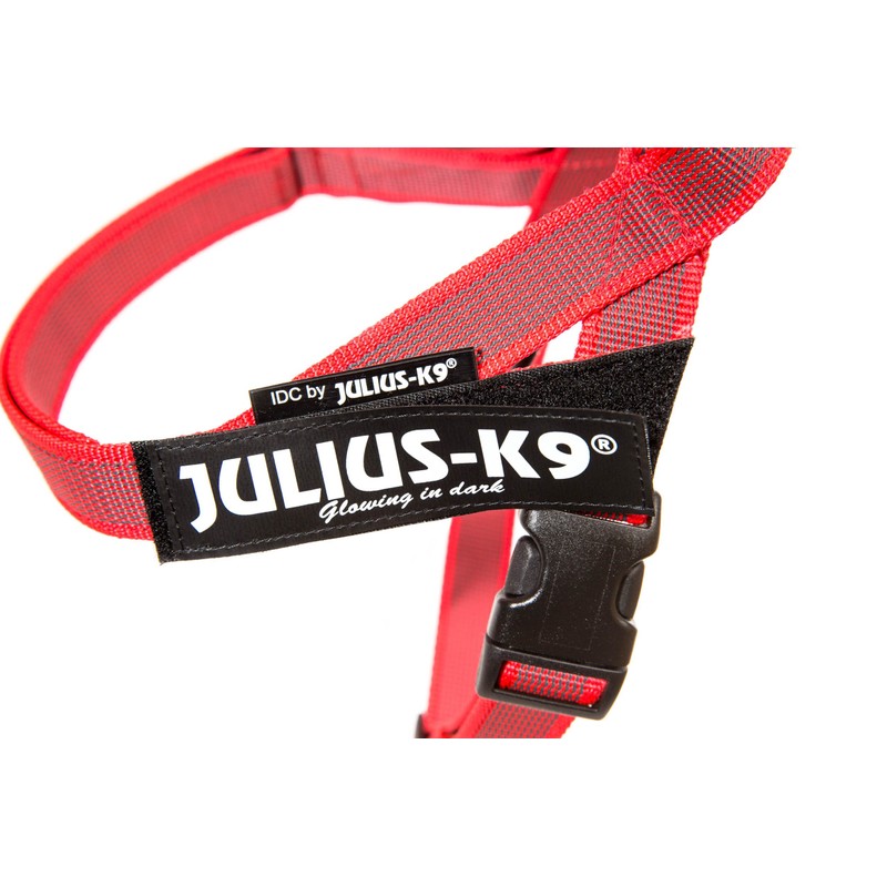 Julius-K9 16IDC-M-R-2015 IDC Color & Gray Belt Harness for Dogs,