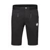 Mammut Aenergy Light SO Men's Shorts