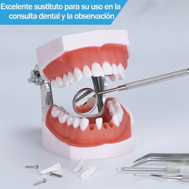 Paquete Dientes Compatibles Nissin Tipodonto