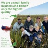 Aloe Vera Gel - 99% Organic, 12 Oz - No