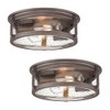 FOITTON 2Pack Industrial Flush Mount Light Fixture, 2-Light Farmhouse Ceiling