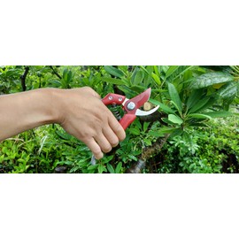 CHIKAMASA PS-8PLUS-R Professional pruning shears for horticulture and flowers with anti-rotation function for lock nut