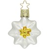 Inge-glas Edelweiss 5 cm