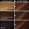 Tinta per Capelli Colorazione Permanente Senza Ammoniaca 5.35 Castano Cioccolato