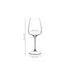 Riedel GRAPE White Wine/Champagne Glass/Spritz Drinks