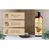 Handcraft Blends USDA Organic Jojoba Oil | Cold-Pressed | 8