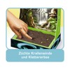 Ravensburger 18187 - ScienceX Mini Schlingpflanzen - Experimente