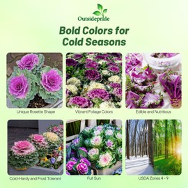 Outsidepride Ornamental Kale Seeds - 2000 Pcs. Annual, Easy to Grow & Cold Hardy, Flower Seeds for Planting Edible & Frilly Vibrant Mixed Blooms for Garden Beds, Borders, & Container Displays