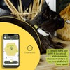 KIPPY - Cat GPS Tracker Kippy CAT COLOR - Locator