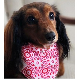 Mosaic Fever - Size: M