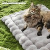 SOMAHE Cat Beds for Indoor Cats Plush Pad Mat with