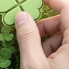 Clover shape click keychain good luck talisman design portable hand