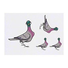 4 x 'Pigeon' Temporary Tattoos - Water Resistant, Skin-Safe, Non-Toxic Transfers, Mixed Sizes (TO00015572)